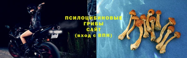 альфа пвп Тавда