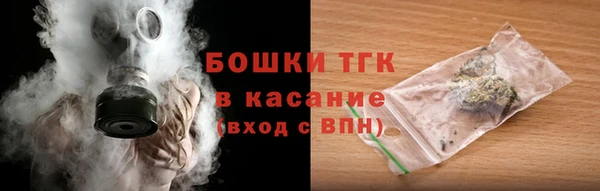 2c-b Тайга