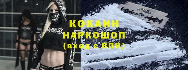 2c-b Тайга
