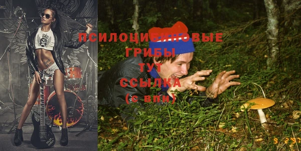 мдма Сясьстрой