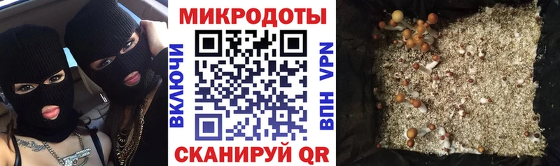 наркошоп Хвалынск Галлюциногенные грибы ЛСД